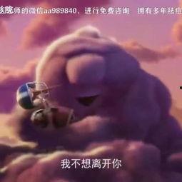 成人性暴力影院视频,黑暗角落的罪恶真相