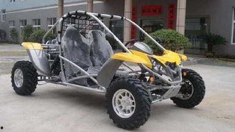 成人双人玩蹦蹦车视频,情侣共度浪漫亲子时光