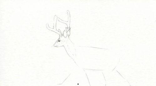 成人柳树画法视频教学下载,成人学画柳枝的实用指南