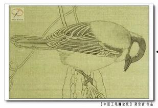 成人柳树画法视频教学下载,成人学画柳枝的实用指南