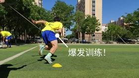 成人少儿武术视频教学