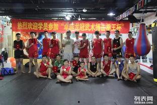 成人少儿武术视频教学