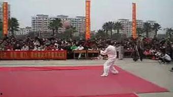 成人少儿武术视频教学