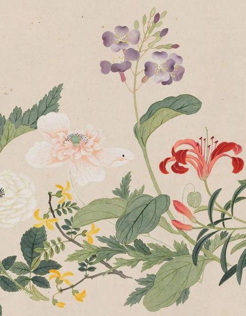 拓印画白菜成人教程视频,轻松掌握成人艺术创作技巧