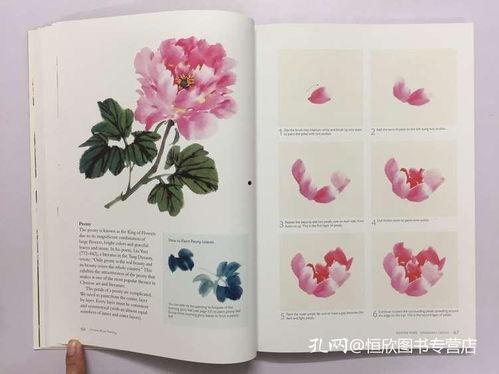 拓印画白菜成人教程视频,轻松掌握成人艺术创作技巧