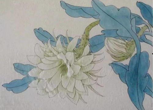 拓印画白菜成人教程视频,轻松掌握成人艺术创作技巧