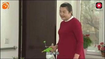 成人吹口哨视频在线观看,跟随视频教程轻松学会吹口哨