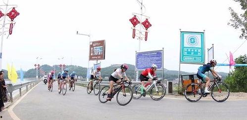 自行车成人赛事视频,自行车成人赛事精彩瞬间回顾