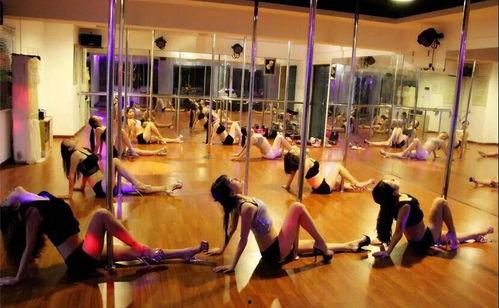 名邦成人舞蹈视频大全,舞动人生，尽享舞蹈魅力