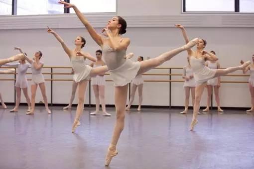 成人舞蹈大观园视频大全,视频大全精彩回顾