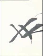 成人练字高手视频,跟随成人练字高手，解锁书法之美