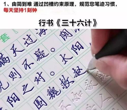 成人练字高手视频,跟随成人练字高手，解锁书法之美