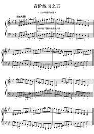 钢琴成人简谱教程视频,跟随简谱教程视频轻松掌握钢琴演奏技巧