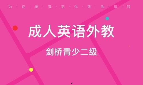 来吧成人英语阅读视频,提升语言能力的精彩之旅