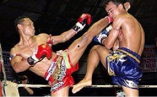 成人练拳击木桩视频大全,视频大全精选攻略