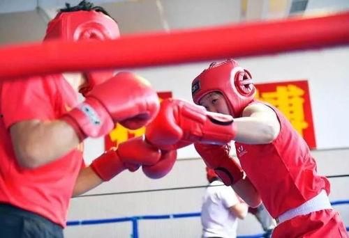 成人练拳击木桩视频大全,视频大全精选攻略