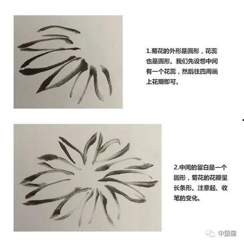 成人花草画法入门视频,成人花草画法入门视频教程解析