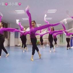 绿地成人跳舞视频在线观看,成人舞蹈视频盛宴在线欣赏