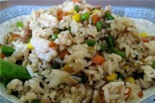 成人营养饭做法大全视频,成人营养饭做法大全视频精选解析