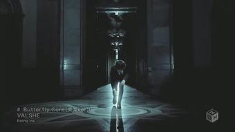 蝴蝶成人世界攻略视频,揭秘蝴蝶成长奥秘，轻松驾驭人生蜕变之旅