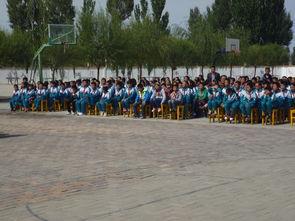 成人系红领巾队形视频,成人视角下的青春风采