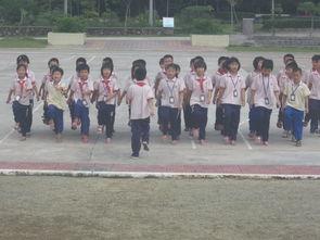 成人系红领巾队形视频,成人视角下的青春风采