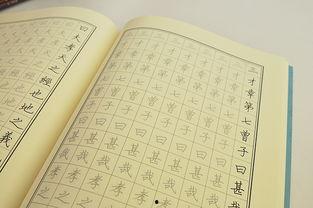 连笔字成人字帖视频,跟随连笔字成人字帖视频轻松掌握书法之美